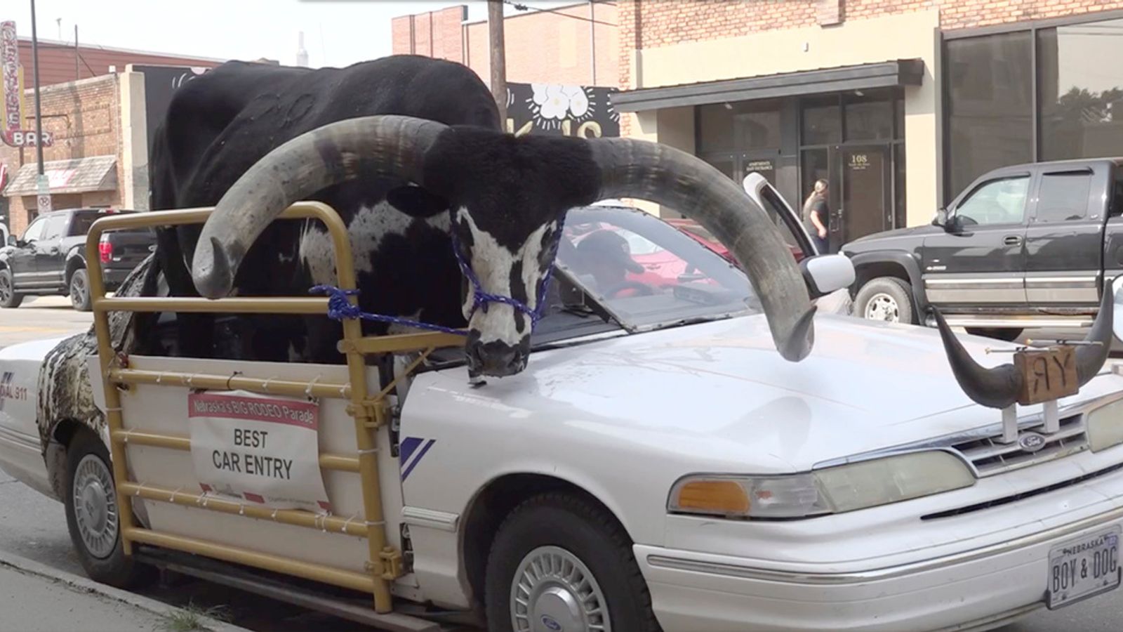 Nebraska driver pulled over after huge bull spotted in passenger seat | US News