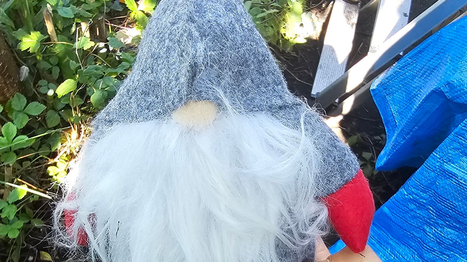 Christmas gnome which police may be 'calling card' for burglars. Pic: North Wales Police