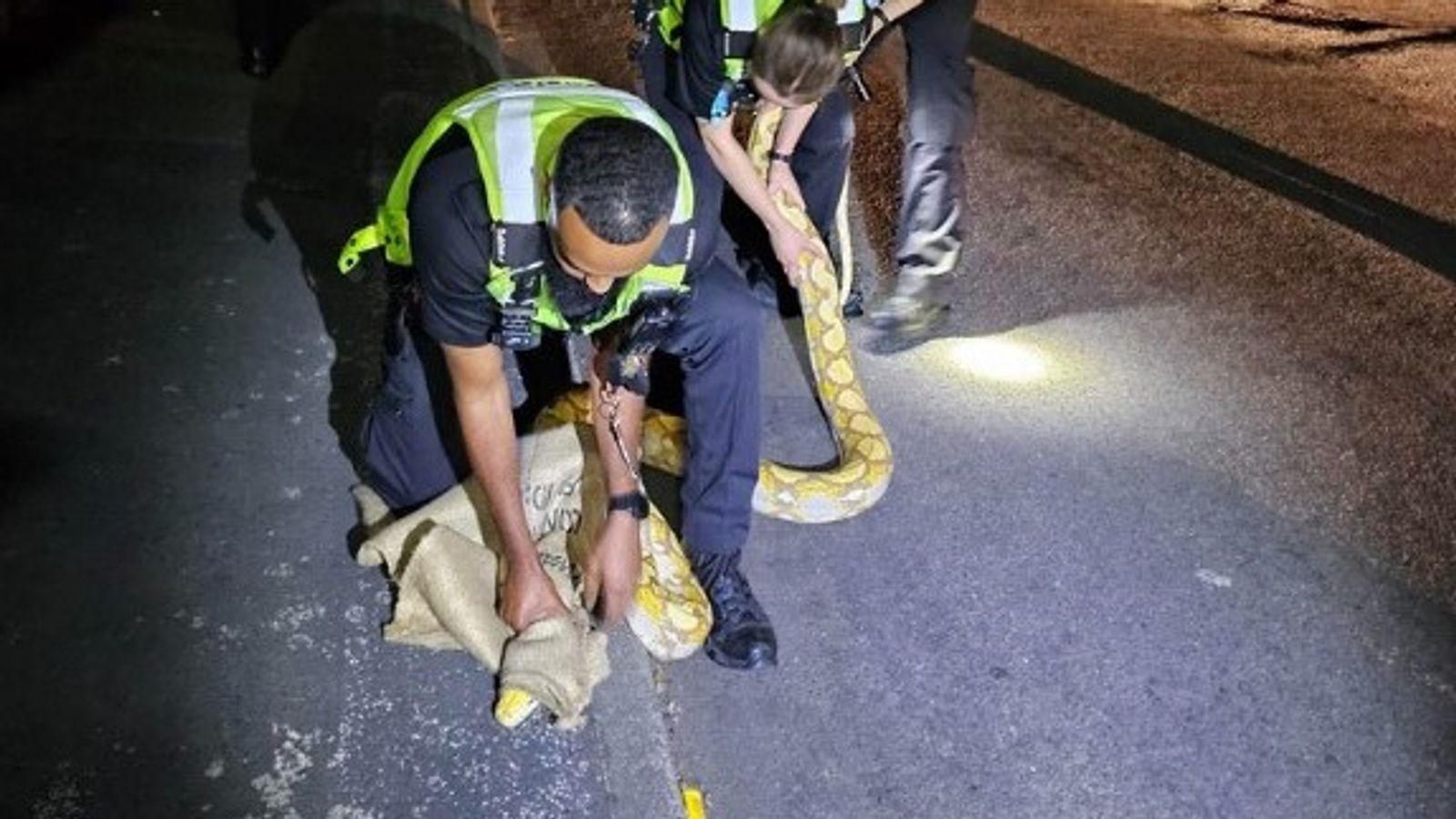 snake rescue. Pic: West Midlands Police